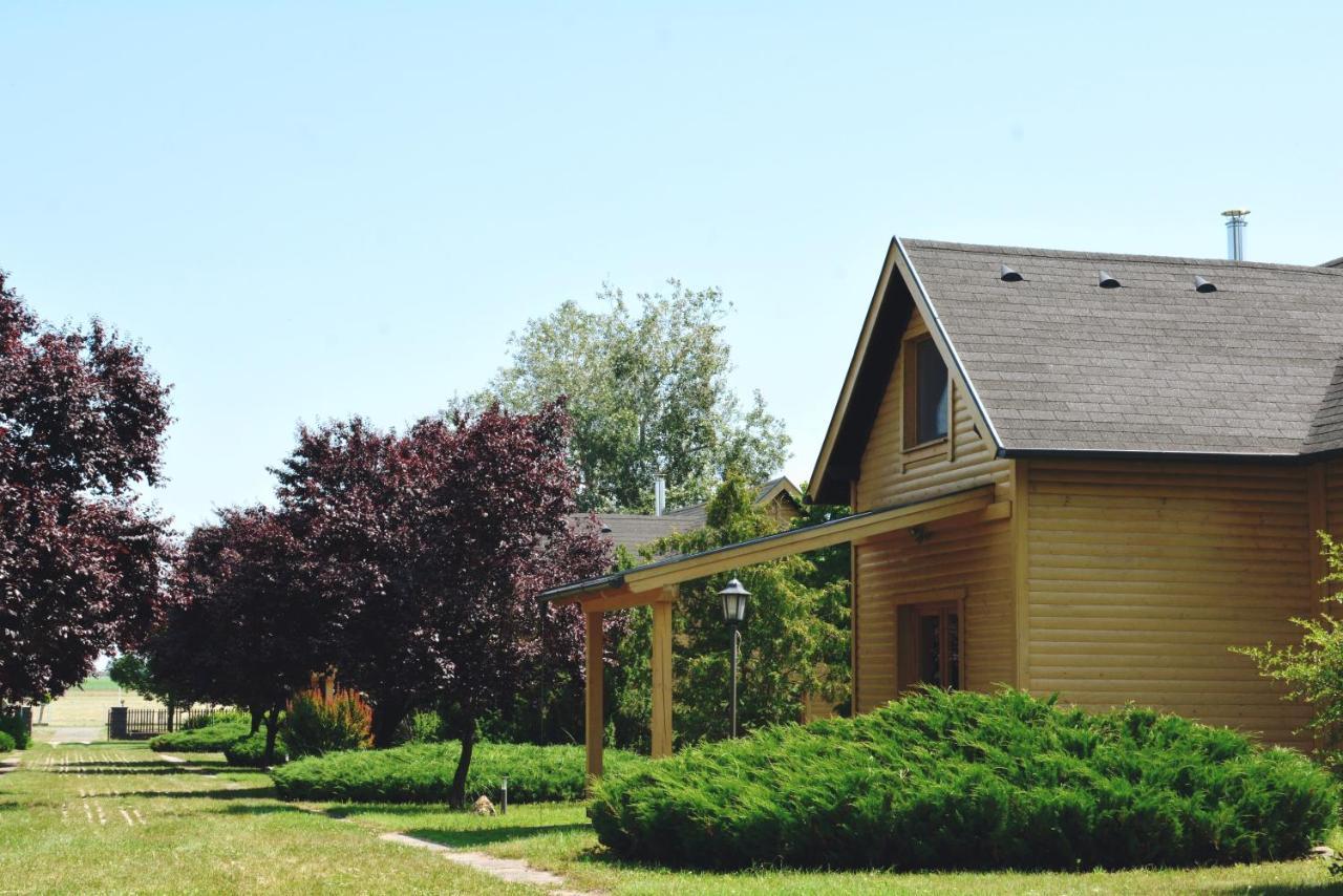 Bed and Breakfast Matko Airport Es Elmenykoezpont Exterior foto